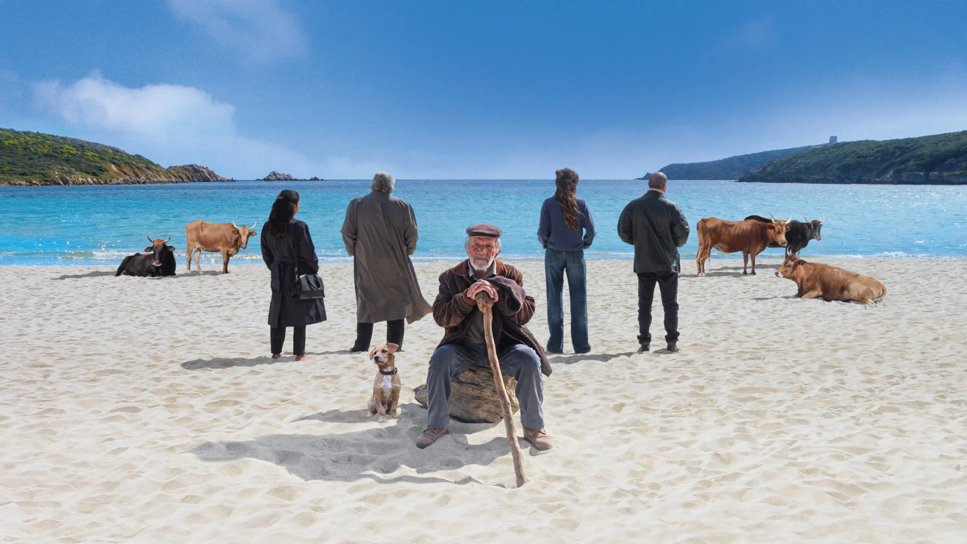 "Proiezione di “La vita va così” e incontro con il regista Riccardo Milani