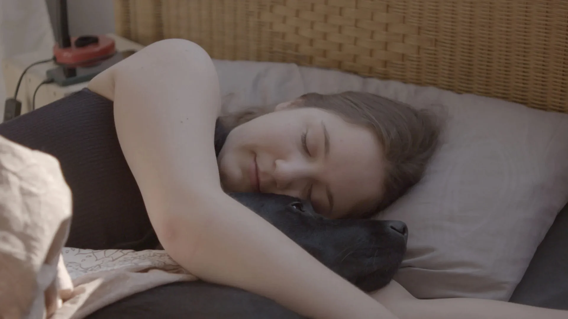 Proiezione del film Nonostante le cicatrici