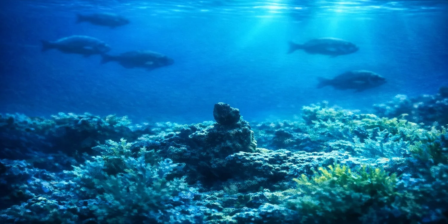 Libro di Ciro Vittorini