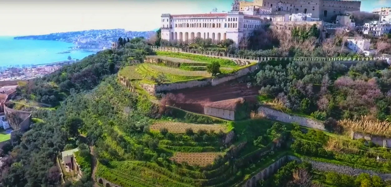 "Visita guidata… “a passo lento”