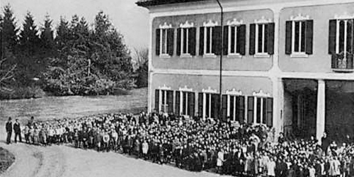 Educazione